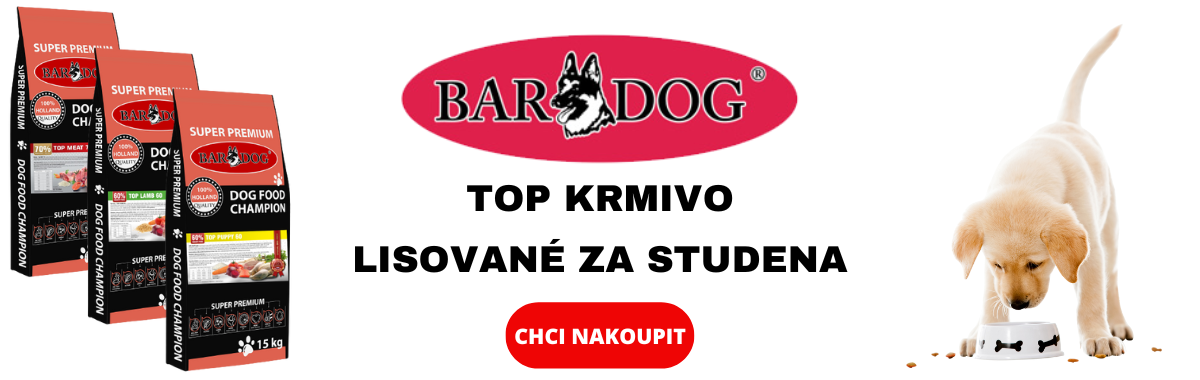 banner bardog.png